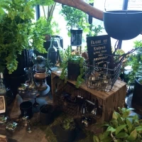 観葉植物