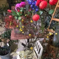 ドライフラワーも綺麗ですが生花ももちろん綺麗です。