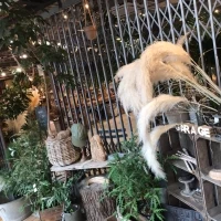 garageさんの1階入口