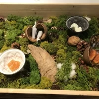 秋の森を再現されているようです