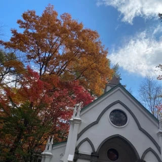 紅葉が綺麗
