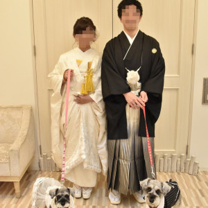 前撮り|602101さんのAnge・garden（アンジュガーデン）の写真(1334147)