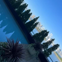 テラスからの眺め