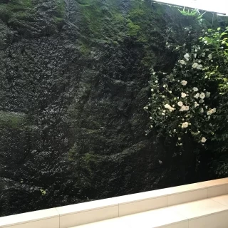 御影石とその上を流れる水