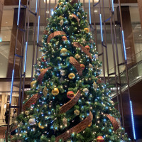 大きなクリスマスツリー