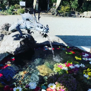 手水にはきれいなお花が浮かんでました♪