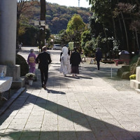 参道。紫の着物の方が介添さんです♪優しい素敵な方でした^^