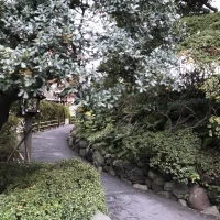 本殿に続く道です