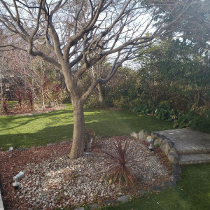 ガーデン|602907さんのArt Bell Ange Mie （アールベルアンジェ ミエ）の写真(1409544)