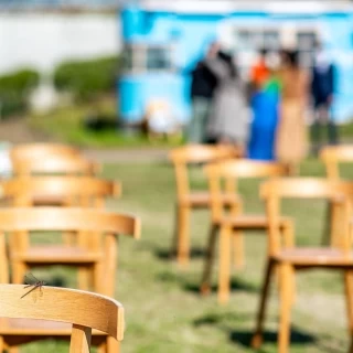 トンボ等が居ます