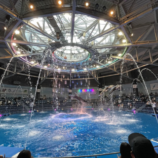 水族館挙式の会場です