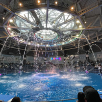 水族館挙式の会場です