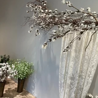 フォトブース