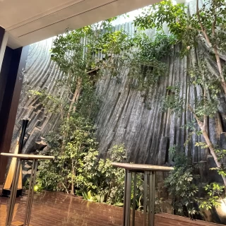 サウンドホール