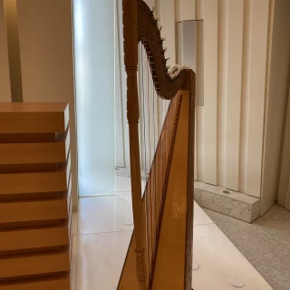 当日生演奏