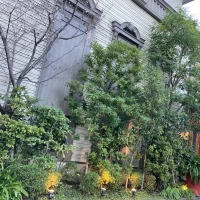 緑とお花