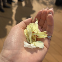 フラワーシャワーは生花で行いました