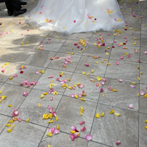 生花のフラワーシャワー、ドレスにかかって綺麗でした|604846さんの迎賓館の写真(1396642)