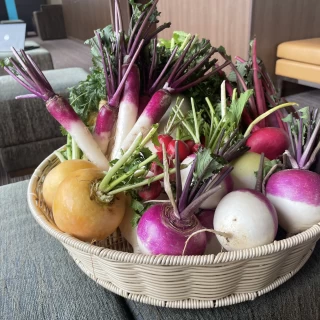 こだわりの三浦野菜を使ったお料理