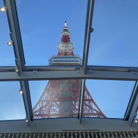 真上に東京タワー