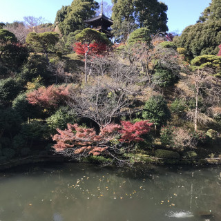 庭園が凄い