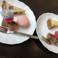 毎回楽しみの打ち合わせのケーキ