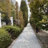 入り口までの道。
