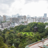 会場から見えるお庭です