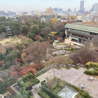 ホテルの部屋からの眺望