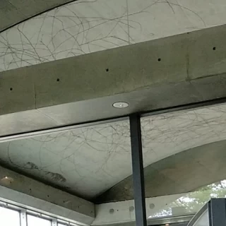 式場の壁