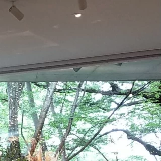 緑がキレイな披露宴会場