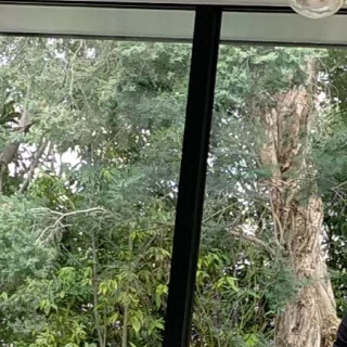 式場内からの外の景色