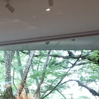 緑がキレイな披露宴会場