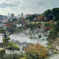 外では他の結婚式の組の方が集合写真を撮っていました