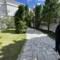 森の木のような綺麗なお庭です