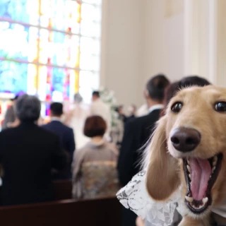 愛犬も参加できます。