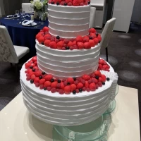 イミテーションケーキ1
