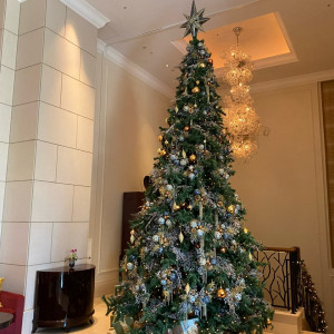ロビーには大きいツリーがあり、クリスマスはいいと思います|606622さんのセントレジスホテル大阪の写真(1372903)