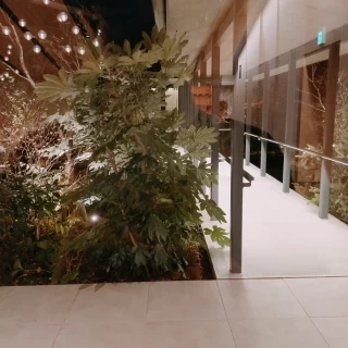 式場中心にある庭園