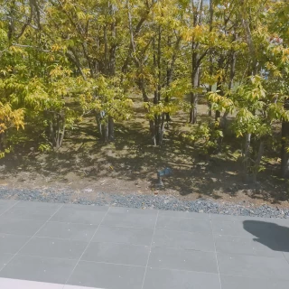 アフターセレモニーの場所は木々で囲われていて外が気にならない