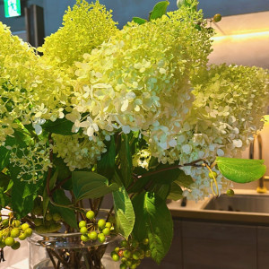 紫陽花|606651さんのIWAI OMOTESANDO(イワイ オモテサンドウ)の写真(2503802)