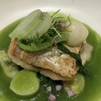 魚料理も美味しかったです！