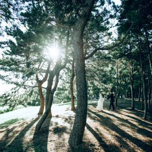 フォト撮影|606673さんの葛西臨海公園ウエディング Denim-デニム-の写真(1376619)