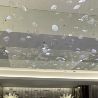 天井が綺麗でした！