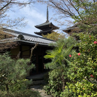 敷地内からの風景