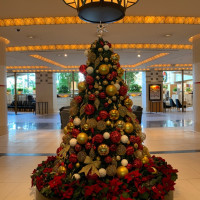 ホテルロビー　クリスマスツリー