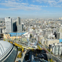 披露宴会場からの眺めは東京ドームを一望できます。