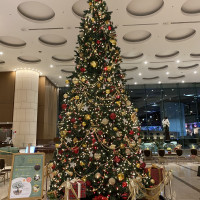 12月は大きなツリーやクリスマスの飾りがホテル内にあります。