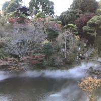 時間で定期的に雲海を見ることができます。