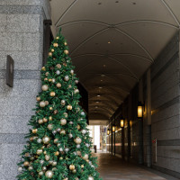 玄関横のクリスマスツリー